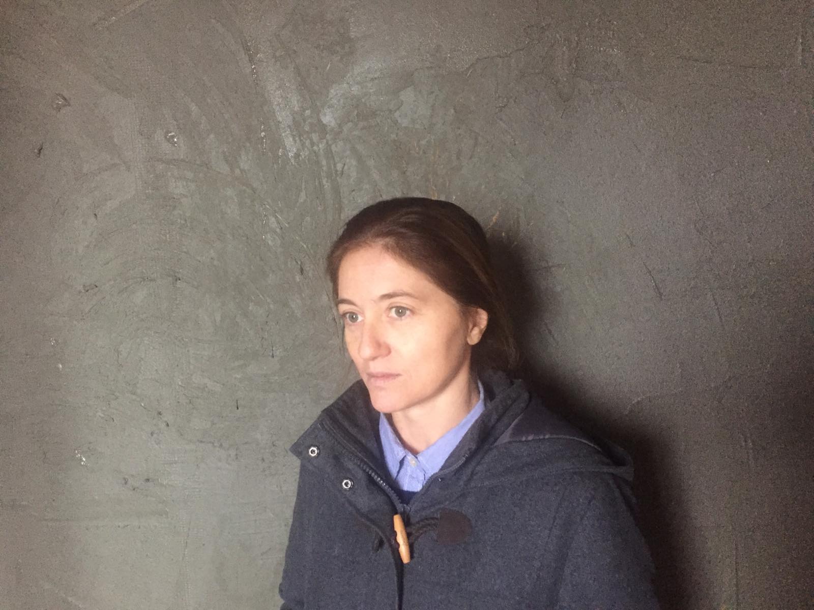 ������ ���������